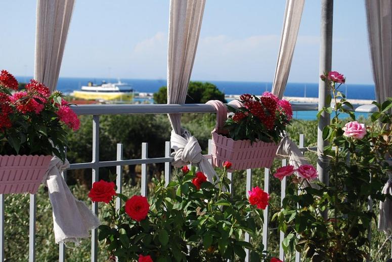 Killini Cottage Studio The Small Cyclades Kastro-Kyllini المظهر الخارجي الصورة